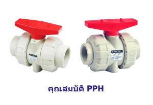 Blog valve material PPH 2